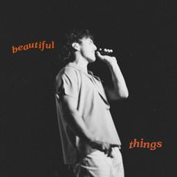 Album cover of Beautiful Things